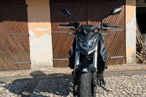 Honda Hornet 750