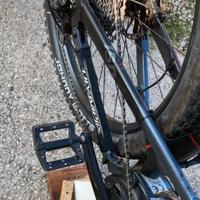 bicicletta mountain bike elettrica Olimpia