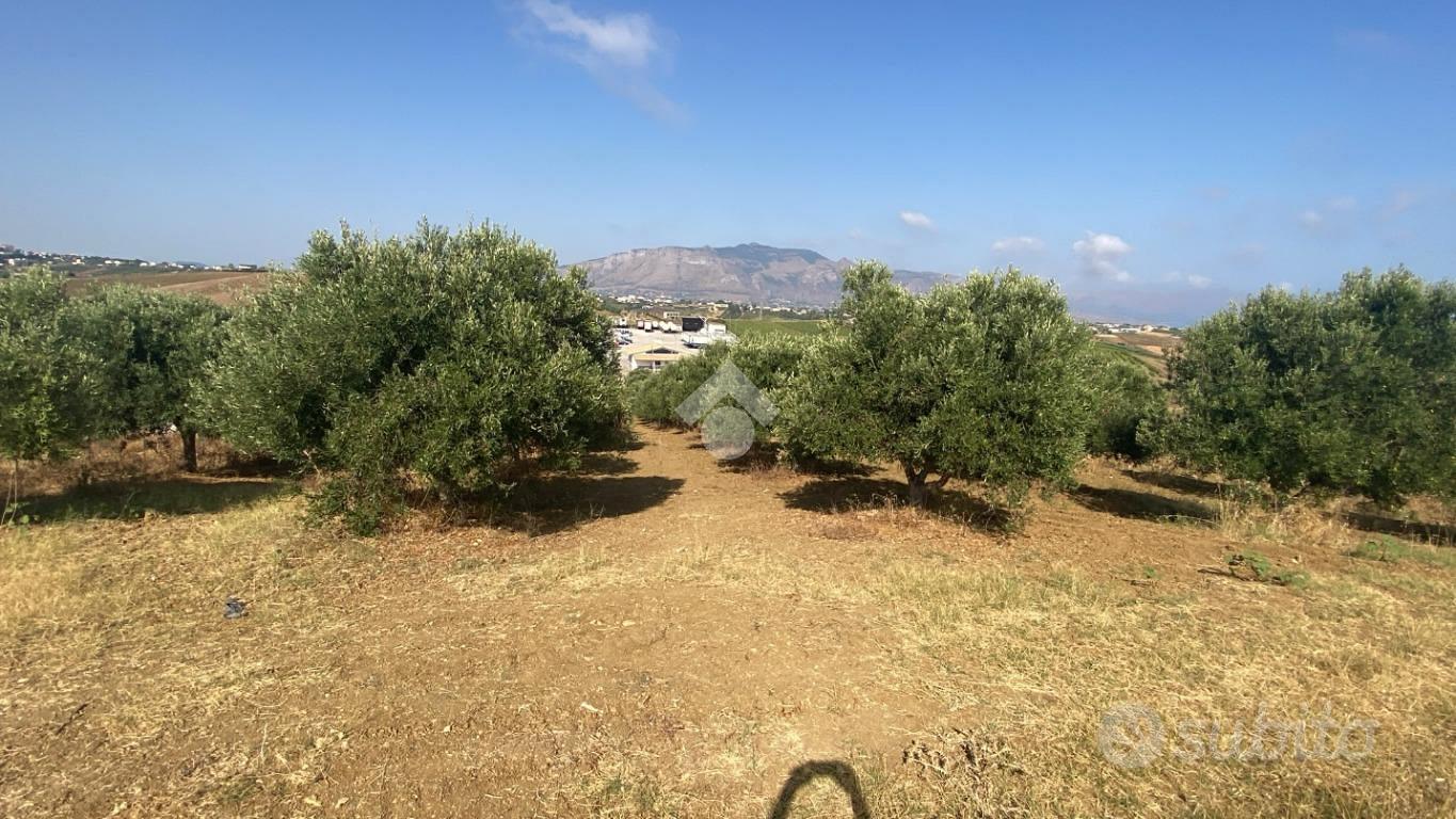 TERRENO A ALCAMO - Vista 4