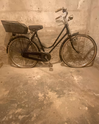 Bicicletta donna Bianchi extra