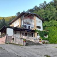 Attività  Commerciale - Alpago