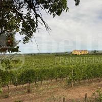 Villa o villino Castagneto Carducci [GB862VRG]