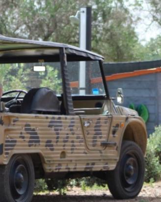 Citroen mehari