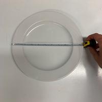 Piatto Schonwald per ristorante