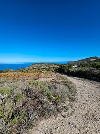 Terreno nell'agro di Castelsardo