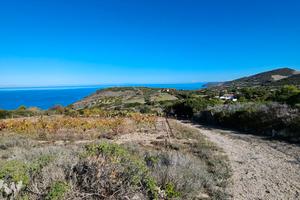 Terreno nell'agro di Castelsardo