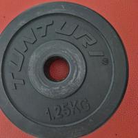 Dischi pesi da 1,25 kg diam 25