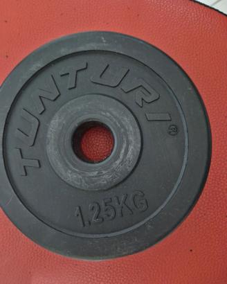 Dischi pesi da 1,25 kg diam 25
