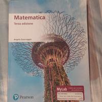 Libro Matematica