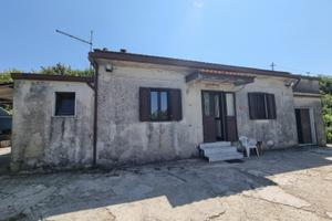 Terreno agricolo con deposito