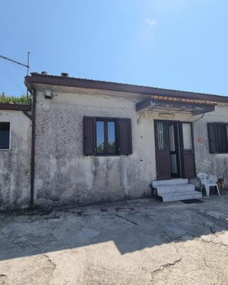 Terreno agricolo con deposito