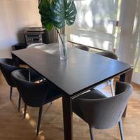 Tavolo in vetro-ceramica cm 90x160(220) Calligaris