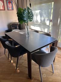 Tavolo in vetro-ceramica cm 90x160(220) Calligaris