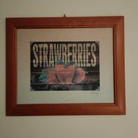 Stampe a tema frutta