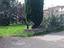 Immagine 7