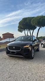 Jaguar e pace