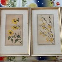 Quadri d’epoca - anni ‘50