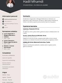 Runner, lavapiatte, cammeriera