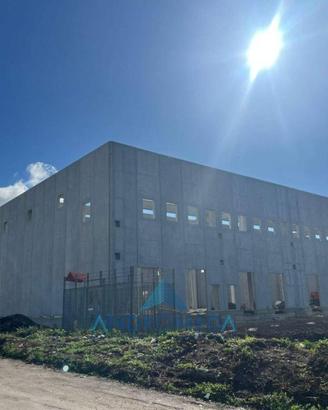Immobile di 5750 m² a Pignataro Maggiore