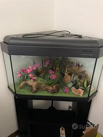 Acquario ad angolo con mobiletto