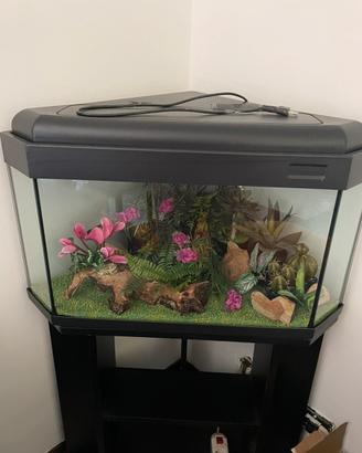 Acquario ad angolo con mobiletto