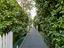 Immagine 13
