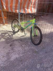 Bicicletta