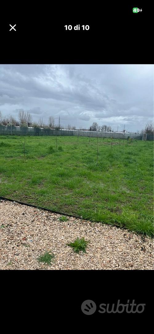 Terreno agricolo - Vista 5