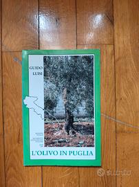 l'olivo in Puglia 