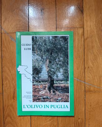 l'olivo in Puglia 