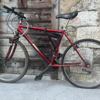 Bicicletta