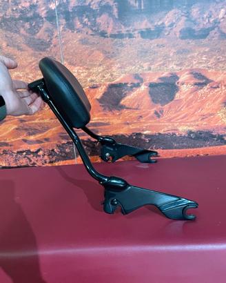 Sissy Bar H-D Detachables™ Gloss Black – Touring