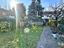 Immagine 28