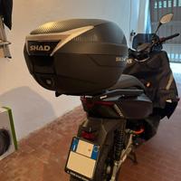 Bauletto Shad SH34 carbon look+ staffe+ schienale