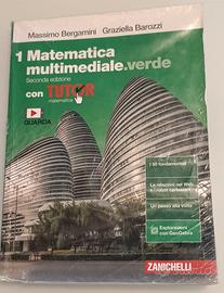 ITIS PLANCK VILLORBA TV LIBRO MATEMATICA