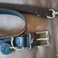 collare più guinzaglio