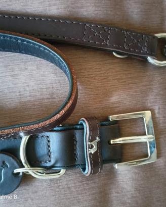 collare più guinzaglio