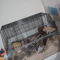 Gabbia in vetro per roditori