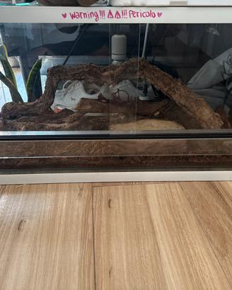 terrario/teca/rettilario