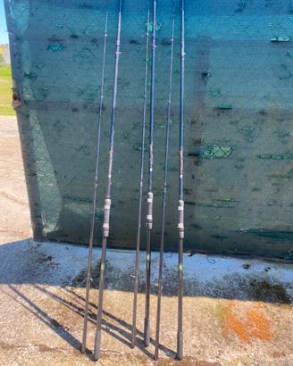 Canne carpfishing