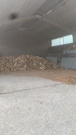 Legna da ardere secca