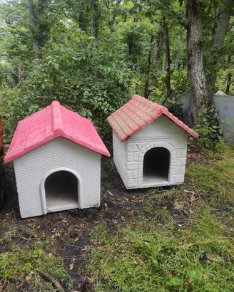 cucce per cani in cemento 
