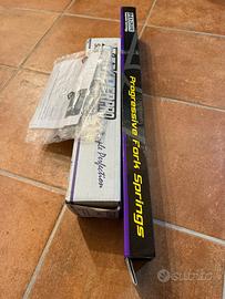 Kit molle abbassameto ant+ post