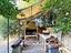 Immagine 19