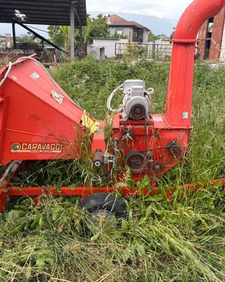 Biotrituratore eletrico caravaggi bio 300