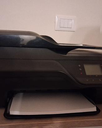 stampante hp
