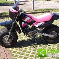 FANTIC MOTOR Koala 50 RESTAURO TOTALE PARI AL NU