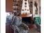 Immagine 11