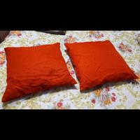 Coppia cuscini 