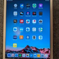 ipad mini 5 64Gb